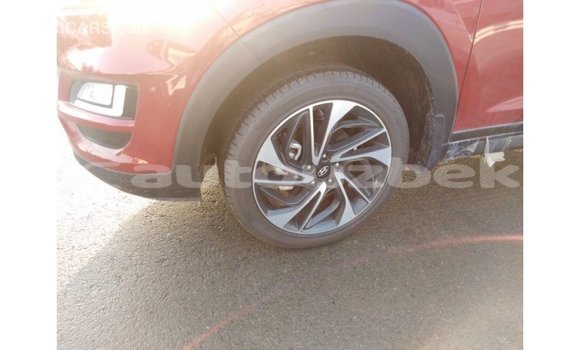 Buy Import Hyundai Tucson Red Car in Import - Dubai in Andijon Buy Import Hyundai Tucson Red Car in Import - Dubai in Andijon