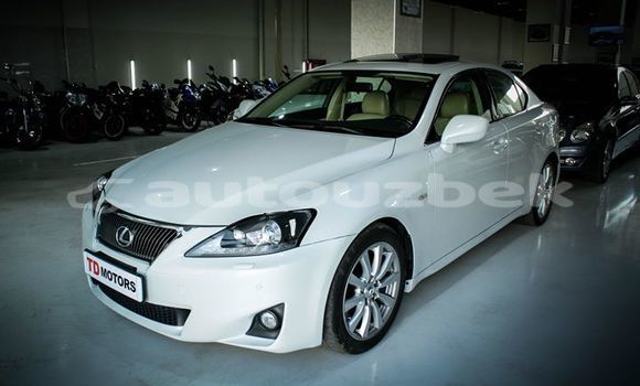 Buy Used Lexus LX White Car in Tashkent in Toskent