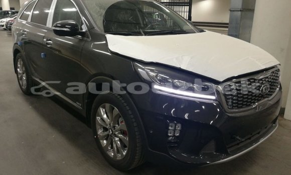 Buy Import Kia Sorento Brown Car in Import - Dubai in Andijon