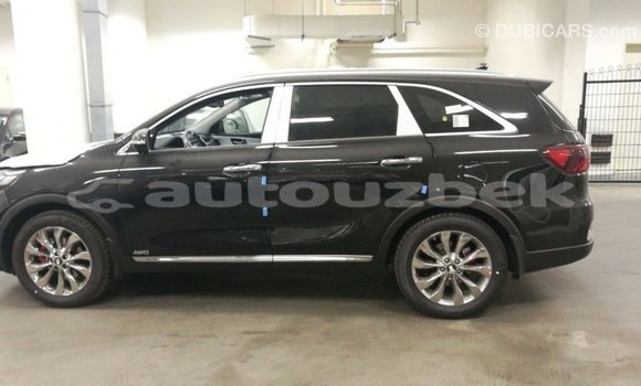 Buy Import Kia Sorento Brown Car in Import - Dubai in Andijon Buy Import Kia Sorento Brown Car in Import - Dubai in Andijon