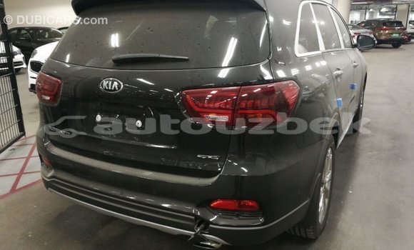 Buy Import Kia Sorento Brown Car in Import - Dubai in Andijon Buy Import Kia Sorento Brown Car in Import - Dubai in Andijon