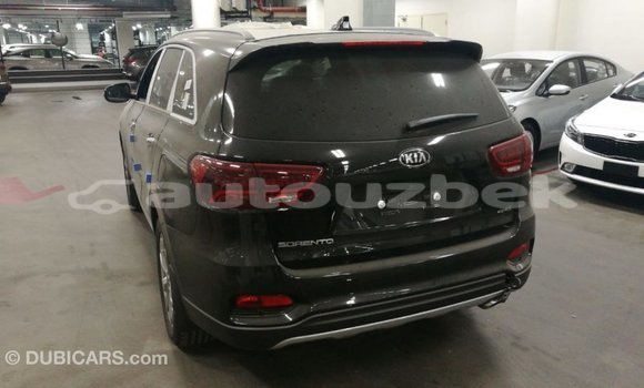 Buy Import Kia Sorento Brown Car in Import - Dubai in Andijon Buy Import Kia Sorento Brown Car in Import - Dubai in Andijon