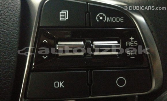 Buy Import Kia Sorento Brown Car in Import - Dubai in Andijon Buy Import Kia Sorento Brown Car in Import - Dubai in Andijon