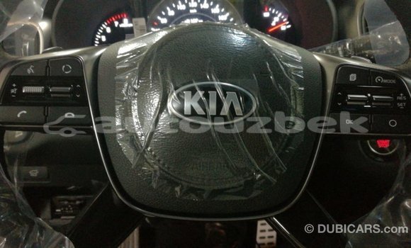 Buy Import Kia Sorento Brown Car in Import - Dubai in Andijon Buy Import Kia Sorento Brown Car in Import - Dubai in Andijon