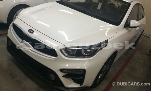 Buy Import Kia Cerato White Car in Import - Dubai in Andijon Buy Import Kia Cerato White Car in Import - Dubai in Andijon