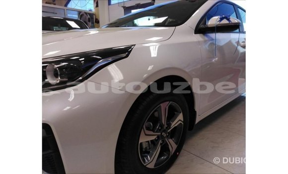 Buy Import Kia Cerato White Car in Import - Dubai in Andijon Buy Import Kia Cerato White Car in Import - Dubai in Andijon