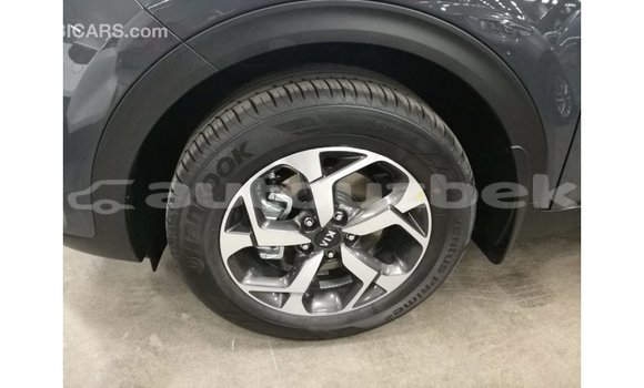 Buy Import Kia Sportage Other Car in Import - Dubai in Andijon Buy Import Kia Sportage Other Car in Import - Dubai in Andijon