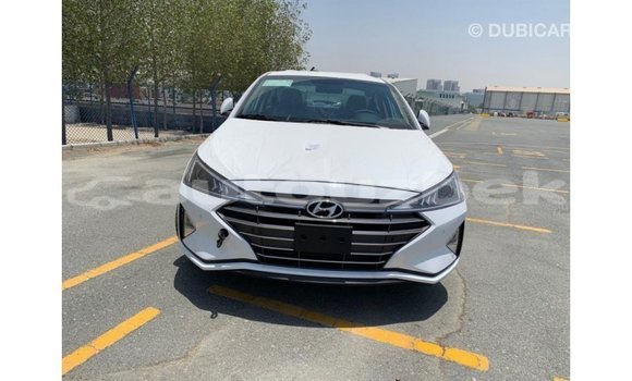 Buy Import Hyundai Elantra White Car in Import - Dubai in Andijon Buy Import Hyundai Elantra White Car in Import - Dubai in Andijon
