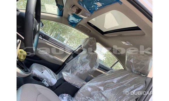 Buy Import Hyundai Elantra White Car in Import - Dubai in Andijon Buy Import Hyundai Elantra White Car in Import - Dubai in Andijon