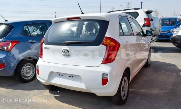 Buy Import Kia Picanto White Car in Import - Dubai in Andijon Buy Import Kia Picanto White Car in Import - Dubai in Andijon