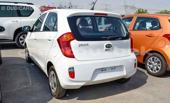 Buy Import Kia Picanto White Car in Import - Dubai in Andijon Buy Import Kia Picanto White Car in Import - Dubai in Andijon