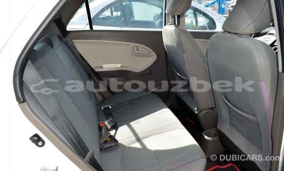 Buy Import Kia Picanto White Car in Import - Dubai in Andijon Buy Import Kia Picanto White Car in Import - Dubai in Andijon