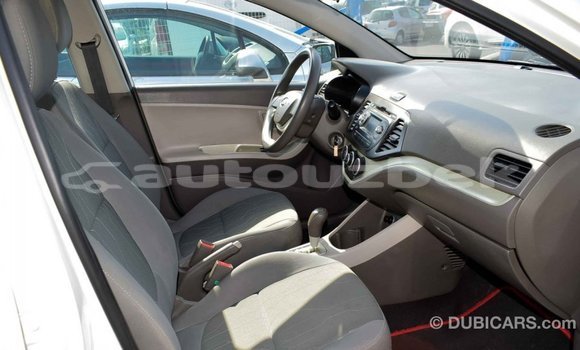 Buy Import Kia Picanto White Car in Import - Dubai in Andijon Buy Import Kia Picanto White Car in Import - Dubai in Andijon