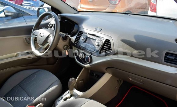 Buy Import Kia Picanto Brown Car in Import - Dubai in Andijon Buy Import Kia Picanto Brown Car in Import - Dubai in Andijon