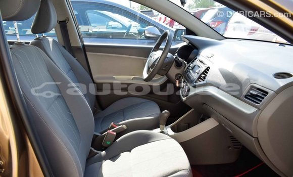 Buy Import Kia Picanto Brown Car in Import - Dubai in Andijon Buy Import Kia Picanto Brown Car in Import - Dubai in Andijon