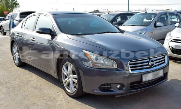 Buy Import Nissan Maxima Other Car in Import - Dubai in Andijon Buy Import Nissan Maxima Other Car in Import - Dubai in Andijon