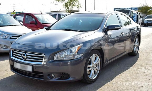 Buy Import Nissan Maxima Other Car in Import - Dubai in Andijon Buy Import Nissan Maxima Other Car in Import - Dubai in Andijon