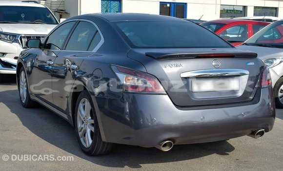 Buy Import Nissan Maxima Other Car in Import - Dubai in Andijon Buy Import Nissan Maxima Other Car in Import - Dubai in Andijon