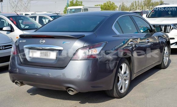 Buy Import Nissan Maxima Other Car in Import - Dubai in Andijon Buy Import Nissan Maxima Other Car in Import - Dubai in Andijon