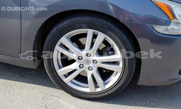 Buy Import Nissan Maxima Other Car in Import - Dubai in Andijon Buy Import Nissan Maxima Other Car in Import - Dubai in Andijon