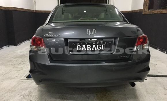 Buy Used Honda Accord Other Car in Tashkent in Toskent Buy Used Honda Accord Other Car in Tashkent in Toskent