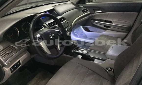 Buy Used Honda Accord Other Car in Tashkent in Toskent Buy Used Honda Accord Other Car in Tashkent in Toskent