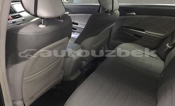 Buy Used Honda Accord Other Car in Tashkent in Toskent Buy Used Honda Accord Other Car in Tashkent in Toskent