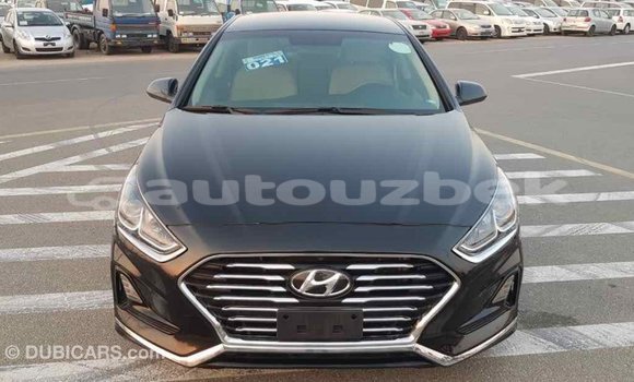 Buy Import Hyundai Sonata Black Car in Import - Dubai in Andijon Buy Import Hyundai Sonata Black Car in Import - Dubai in Andijon