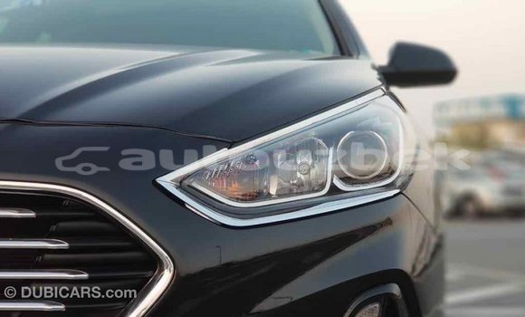 Buy Import Hyundai Sonata Black Car in Import - Dubai in Andijon Buy Import Hyundai Sonata Black Car in Import - Dubai in Andijon