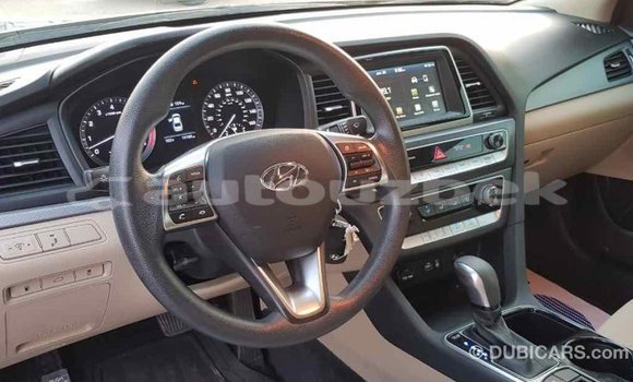 Buy Import Hyundai Sonata Black Car in Import - Dubai in Andijon Buy Import Hyundai Sonata Black Car in Import - Dubai in Andijon