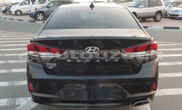 Buy Import Hyundai Sonata Black Car in Import - Dubai in Andijon Buy Import Hyundai Sonata Black Car in Import - Dubai in Andijon