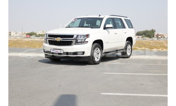 Buy Import Chevrolet Tahoe White Car in Import - Dubai in Andijon