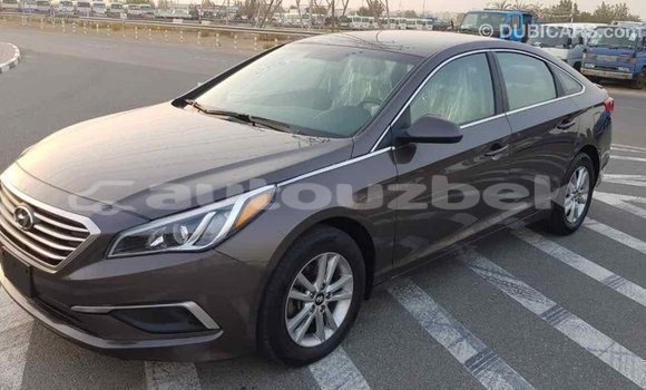 Buy Import Hyundai Sonata Brown Car in Import - Dubai in Andijon Buy Import Hyundai Sonata Brown Car in Import - Dubai in Andijon