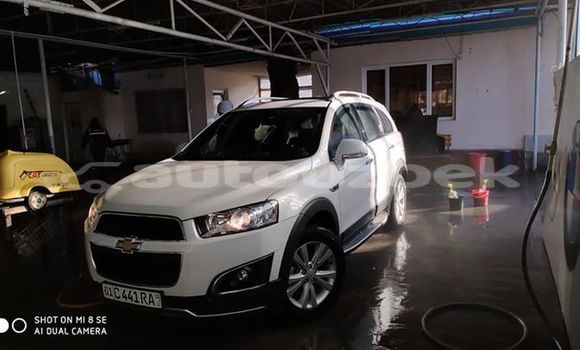 Buy Used Chevrolet Captiva White Car in Tashkent in Toskent