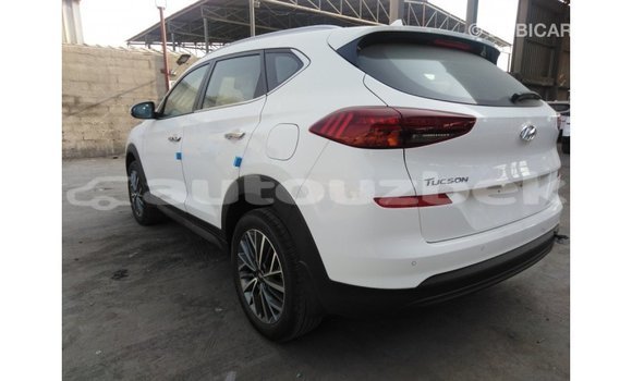 Buy Import Hyundai Tucson White Car in Import - Dubai in Andijon Buy Import Hyundai Tucson White Car in Import - Dubai in Andijon
