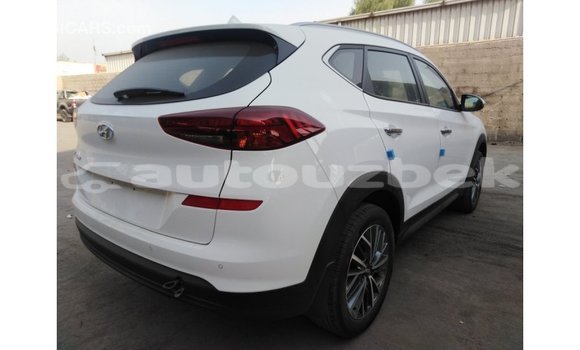 Buy Import Hyundai Tucson White Car in Import - Dubai in Andijon Buy Import Hyundai Tucson White Car in Import - Dubai in Andijon