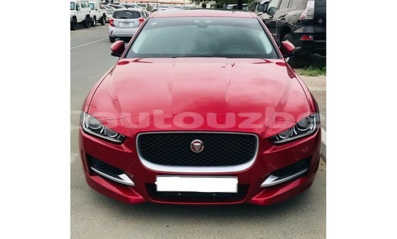 Buy Import Jaguar XE Red Car in Import - Dubai in Andijon