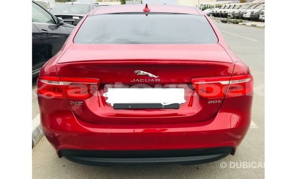 Buy Import Jaguar XE Red Car in Import - Dubai in Andijon Buy Import Jaguar XE Red Car in Import - Dubai in Andijon