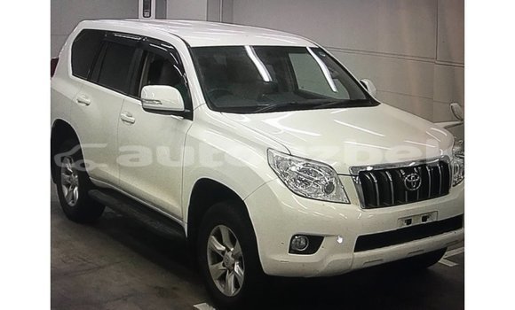Buy Import Toyota Prado White Car in Import - Dubai in Andijon Buy Import Toyota Prado White Car in Import - Dubai in Andijon